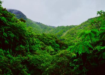 Descubre la Oficina de Turismo El Salvador: Guía Completa y Consejos Prácticos