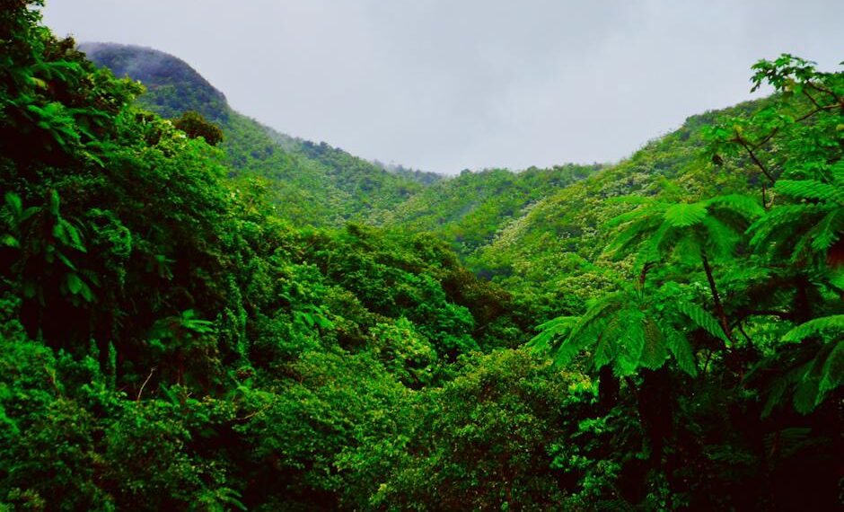 Descubre la Oficina de Turismo El Salvador: Guía Completa y Consejos Prácticos