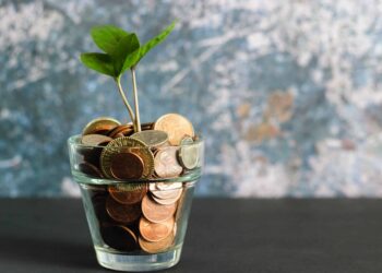 ¿Dónde invertir con poco dinero?