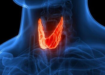 La ashwagandha cura el hipotiroidismo