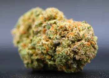 Cogollo haze CBD