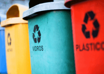 ¿Cómo separar la basura correctamente?: Guía de reciclaje para principiantes